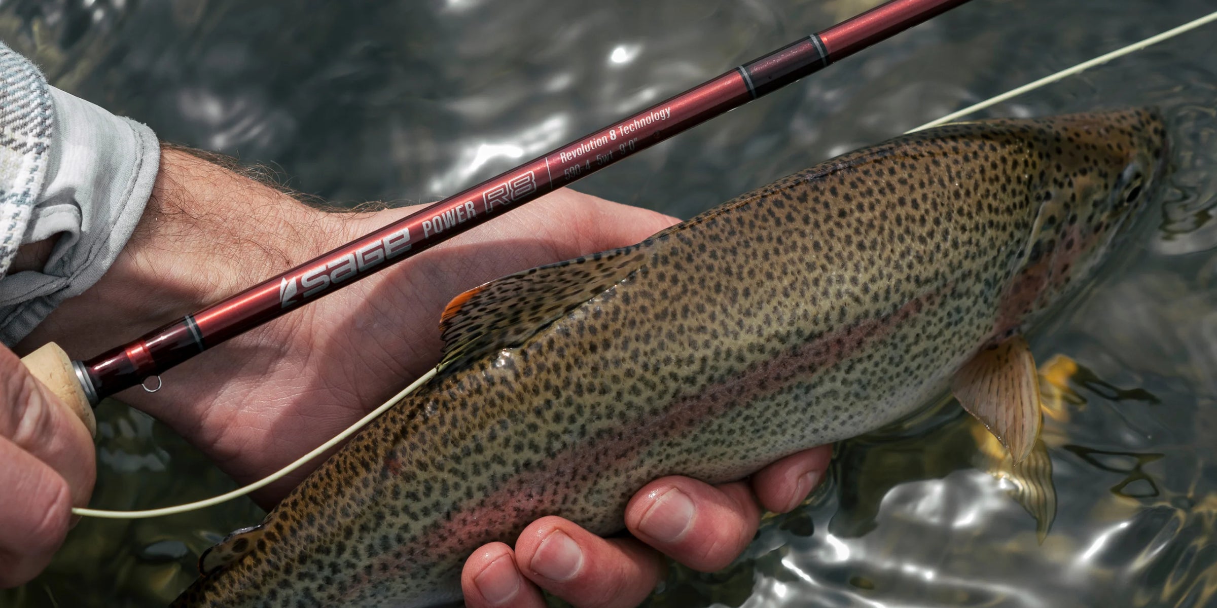 Sage Trout R8 Sage Power R8 Rod – Bear's Den Fly Fishing Co.
