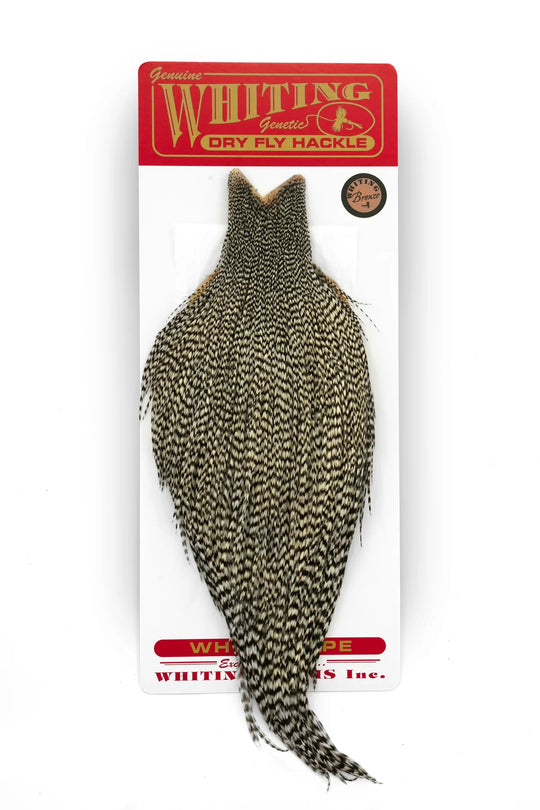 Whiting Farms Whiting Bronze Cape