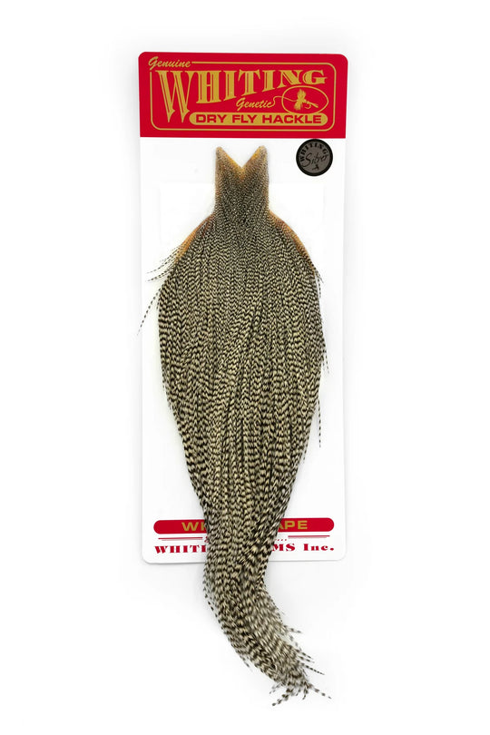 Whiting Farms Whiting Silver Cape