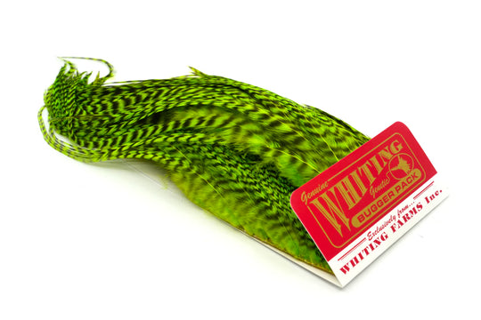 Whiting Farms Whiting Bugger Pack