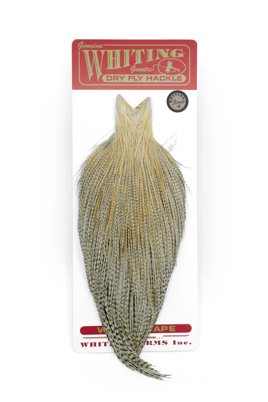 Whiting Farms Whiting Bronze Cape