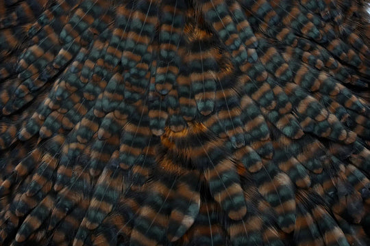Whiting Farms Whiting Hen Saddle