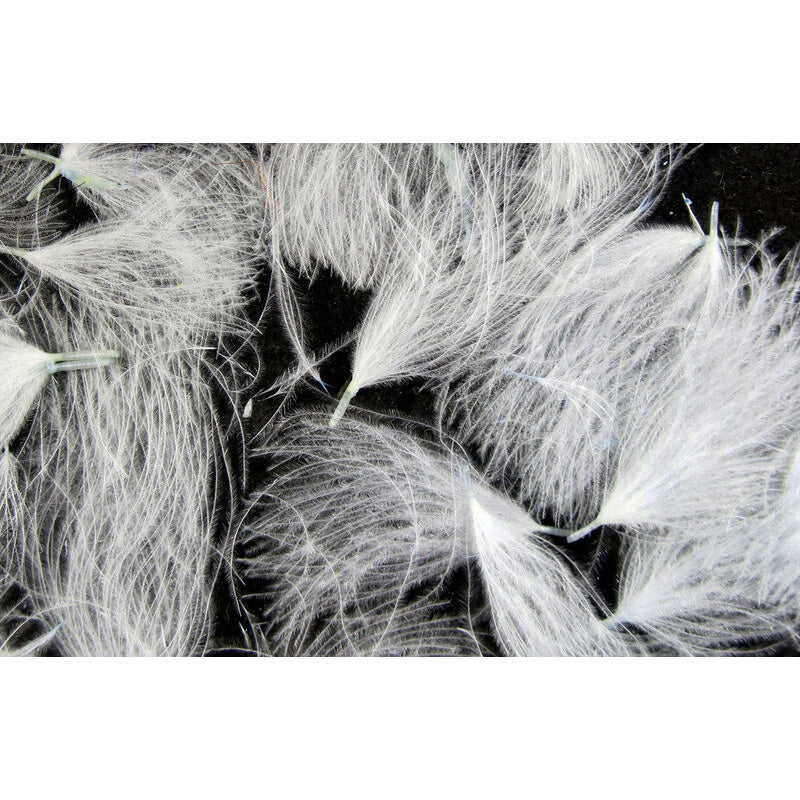 CDC Oiler Puffs