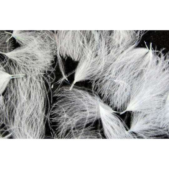 CDC Oiler Puffs