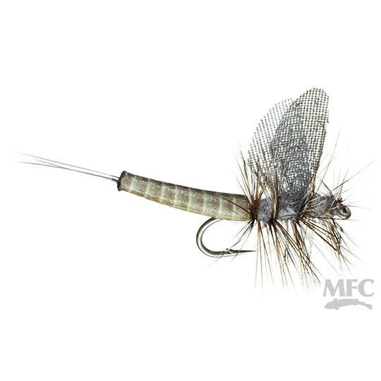 MFC Lucent Wing True Drake