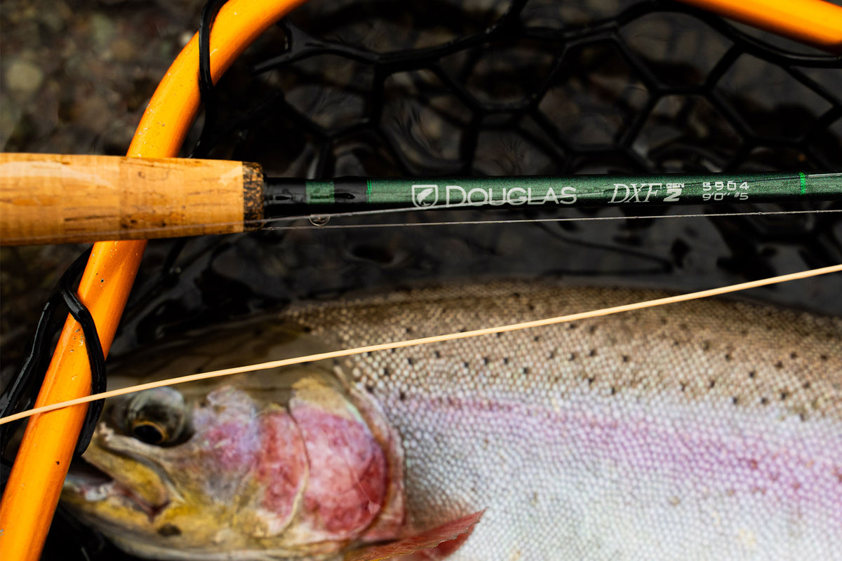 Douglas DXF Gen2 Rods – Bear's Den Fly Fishing Co.