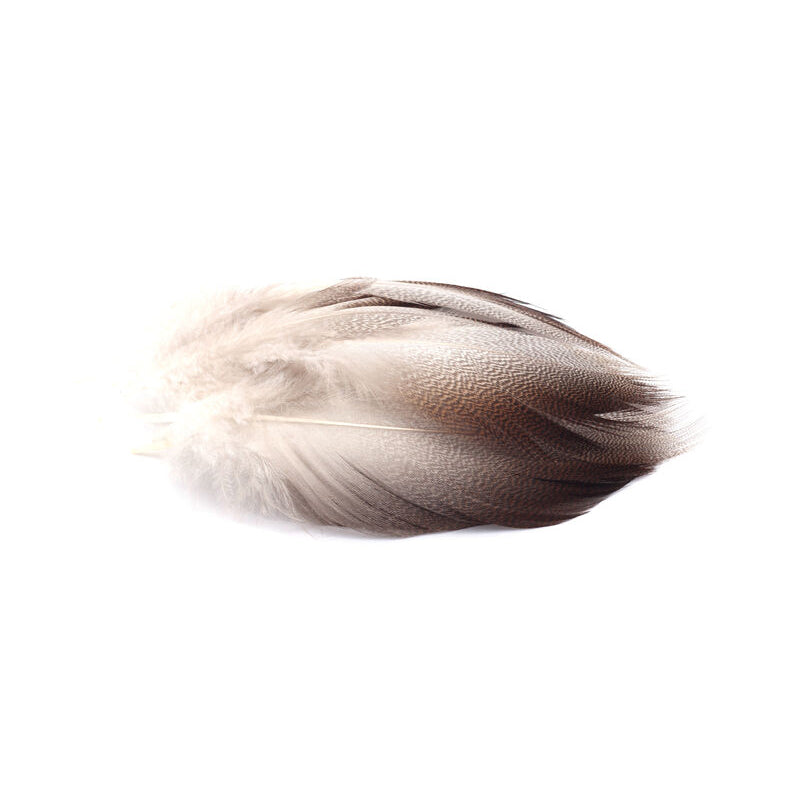 Hareline Bronze Mallard