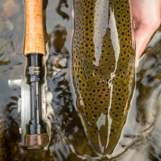 Cortland MKII Nymph Series Rod