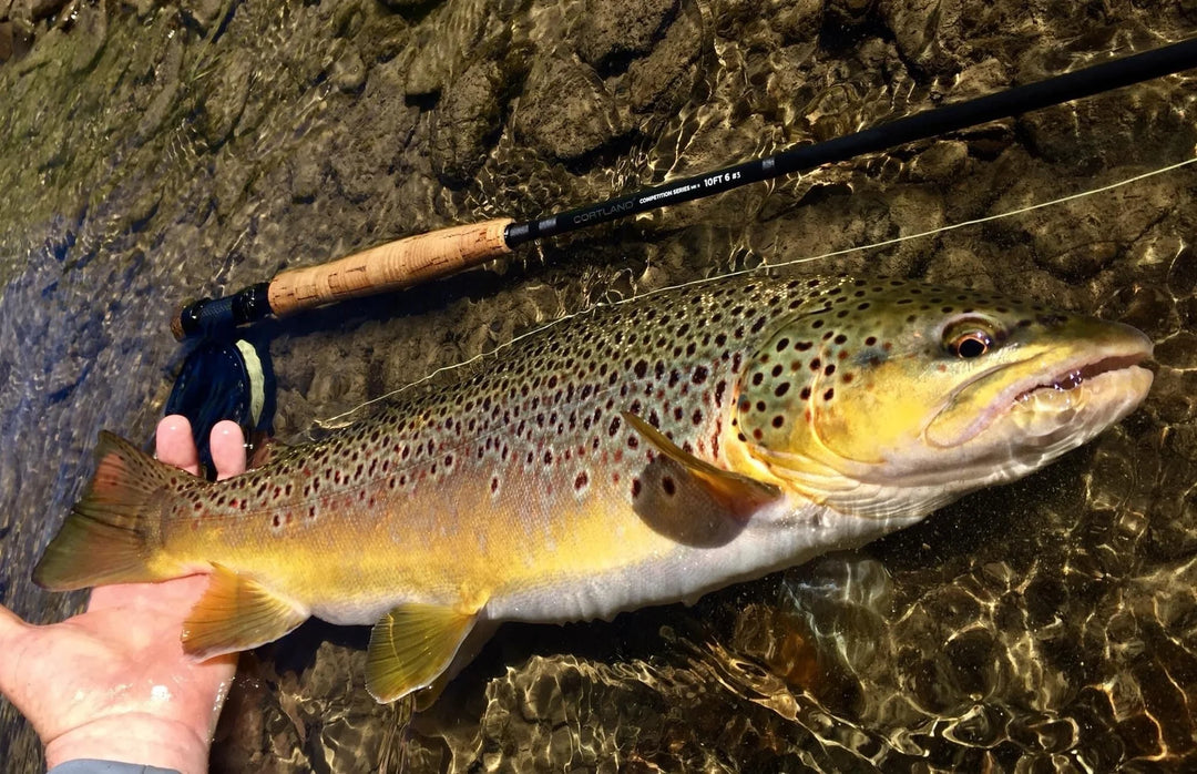 Cortland MKII Nymph Series Rod