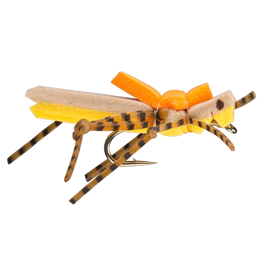 RIO Products Morrish Hopper