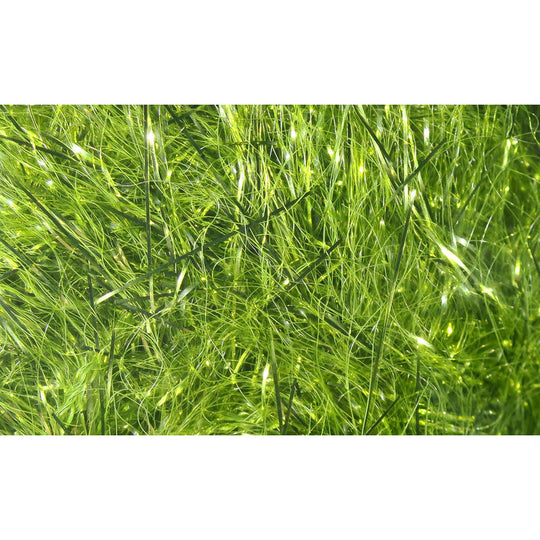 Hareline Polar Reflector Flash Chenille