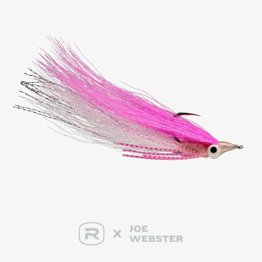 RIO Webster&