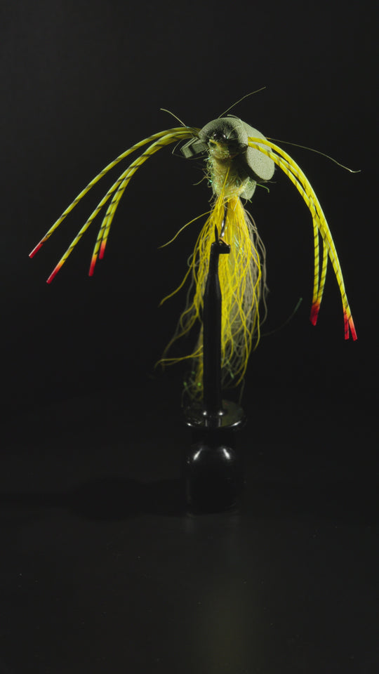 Rainy's Kent's Stealth Bomber