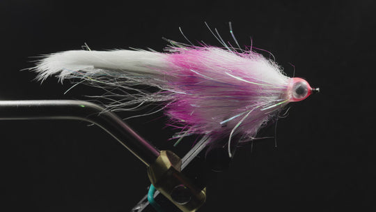 Dave Skok Bonito Bunny
