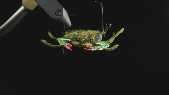Umpqua Danger Muffin Crab