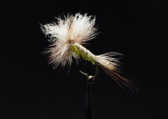 PFG Hexagenia Dun