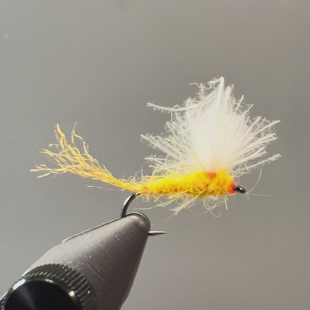 Strolis CDC Mayfly