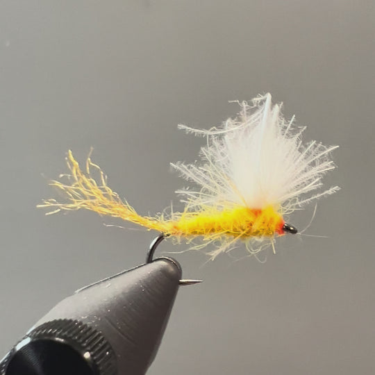 Strolis CDC Mayfly