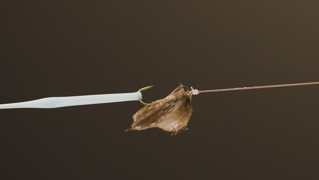 Fly Banjo