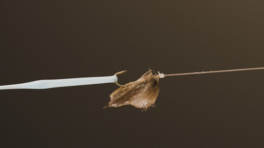 Fly Banjo