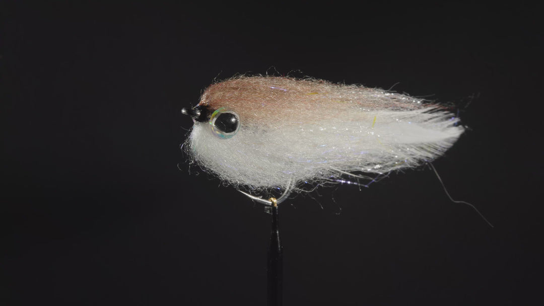 Strolis The Simple Baitfish