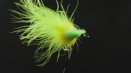 Fulling Mill MillHouse Tarpon Toad