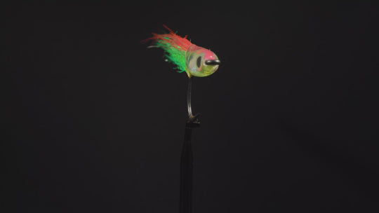 Dave Skok Surf Candy