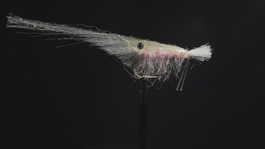 Enrico Puglisi Grass Shrimp