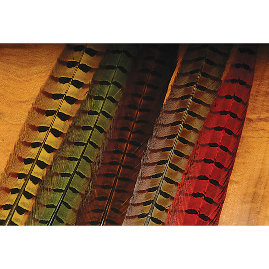 Hareline Ringneck Pheasant Tail Feathers