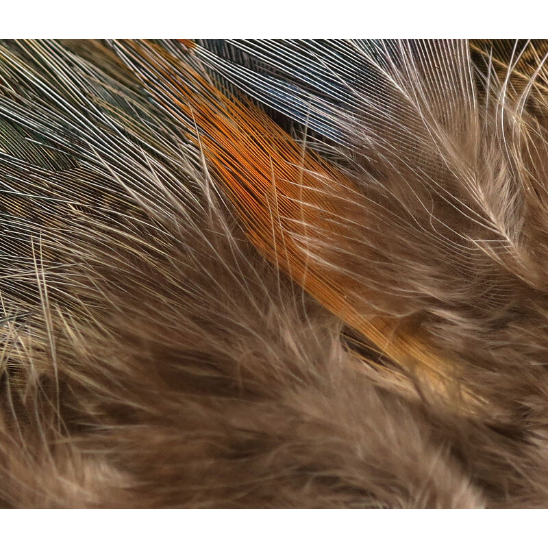 Hareline Ringneck Rump Hackle