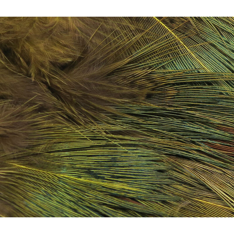 Hareline Ringneck Rump Hackle