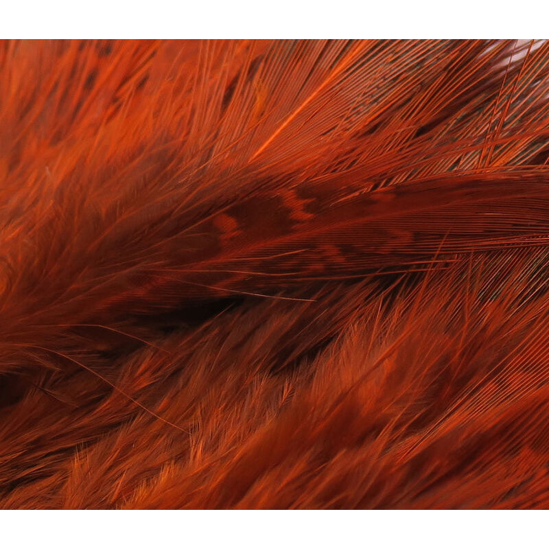 Hareline Ringneck Rump Hackle