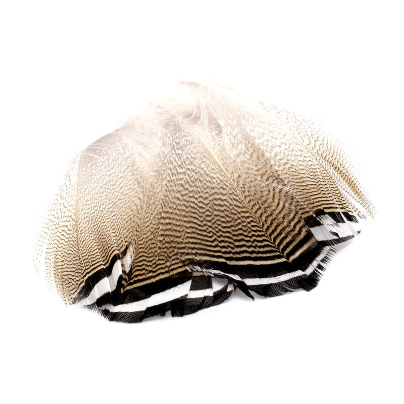 Hareline Woodduck Feathers