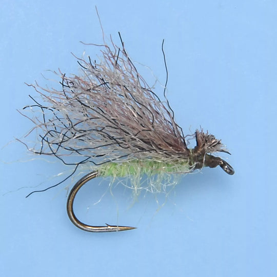 Enrico Puglisi Trout - Caddis