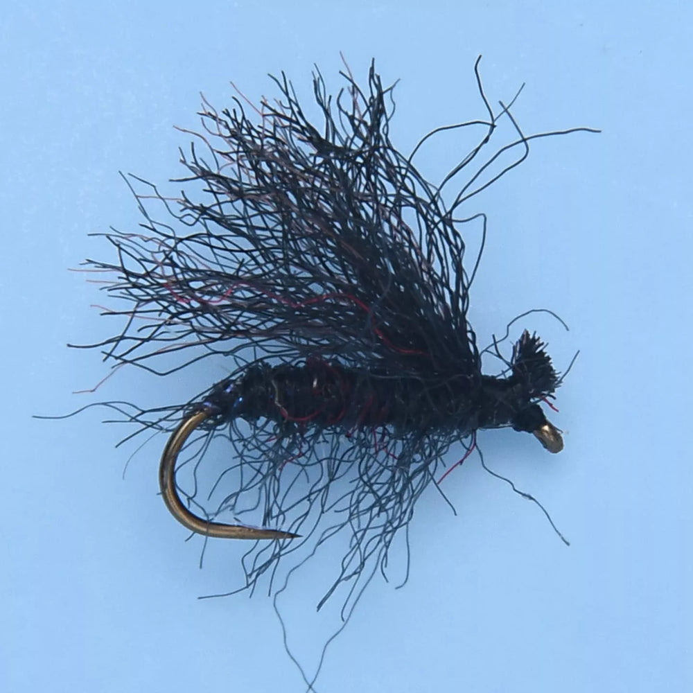 Enrico Puglisi Trout - Caddis