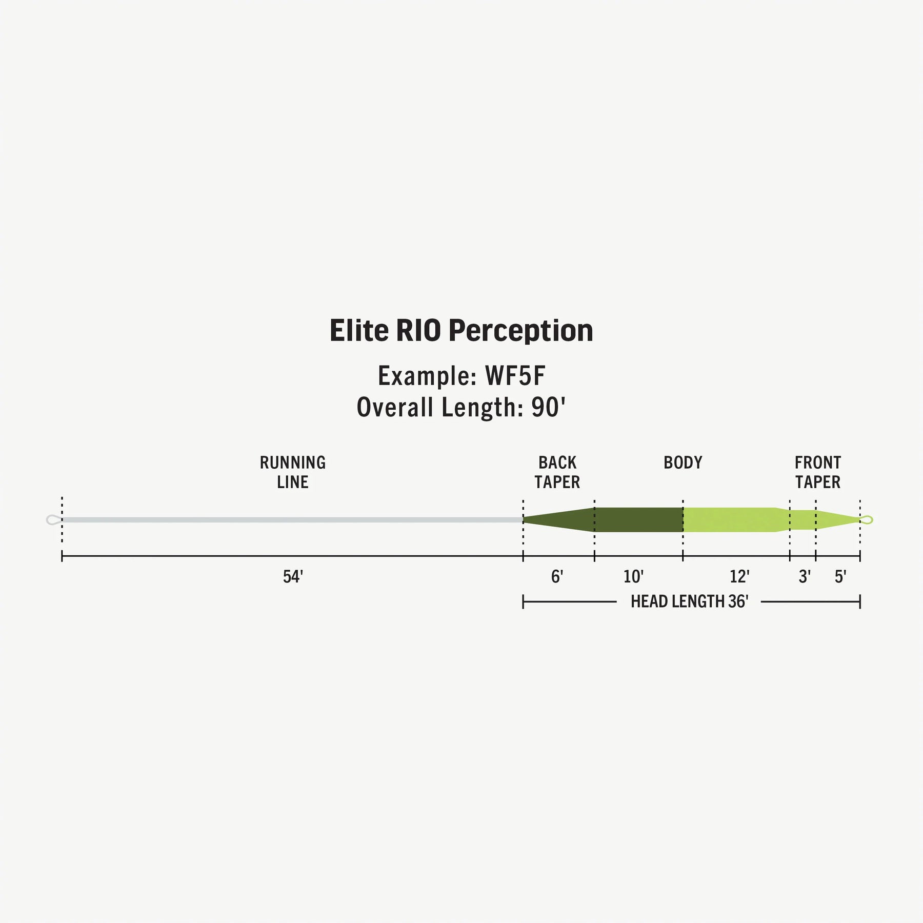 リオ　Rio　エリートパーセプション　Elite Perception　WF6F RIO - Elite Rio Perception – Bear's Den Fly Fishing Co.