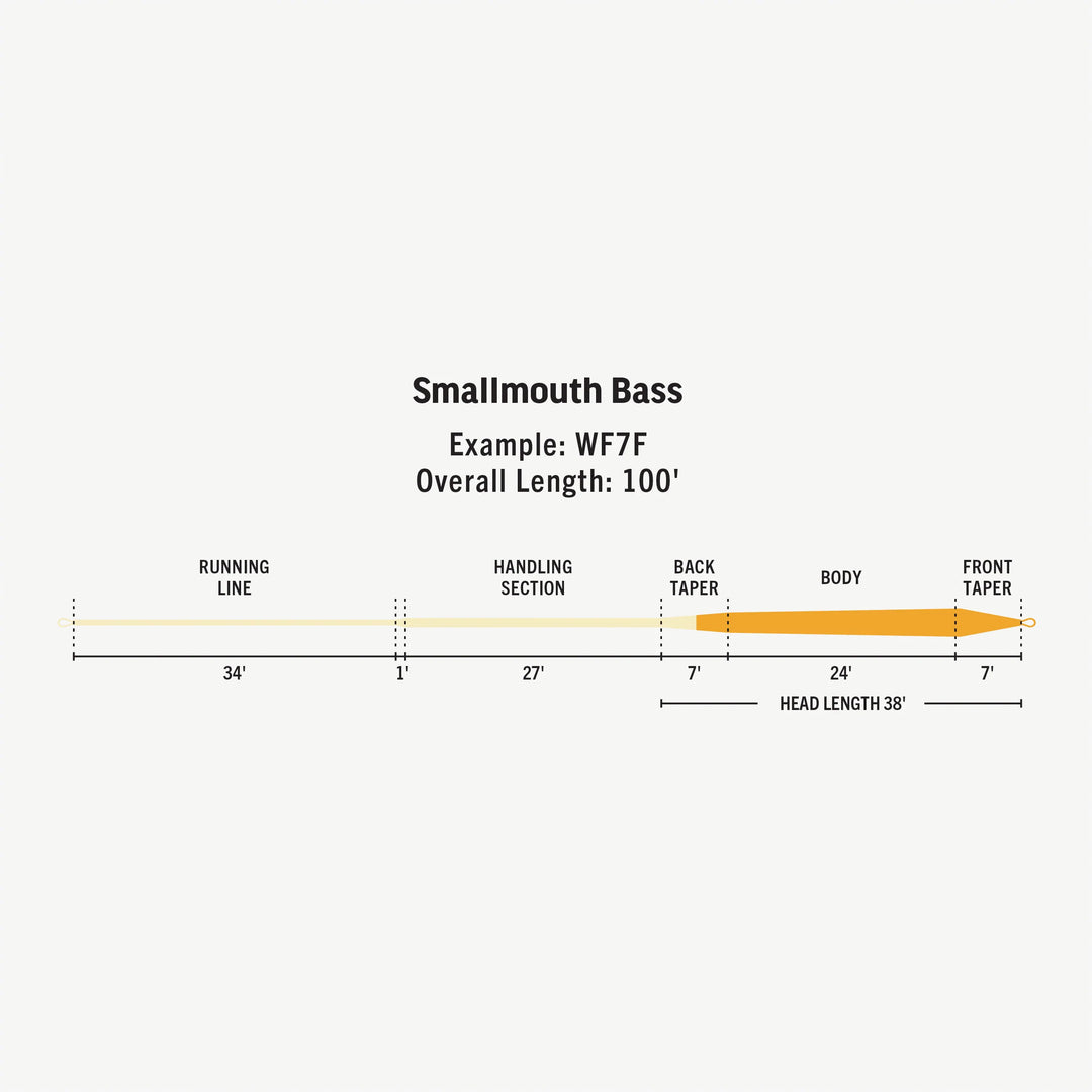 RIO - Smallmouth Bass