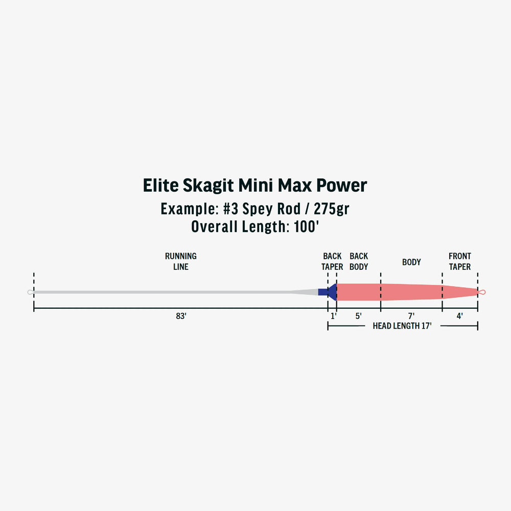 RIO Products Elite Integrated Skagit Mini Max Power