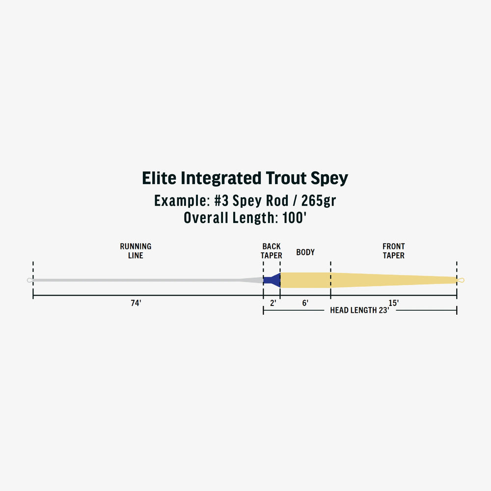 RIO Products 	Elite Integrated Trout Spey
