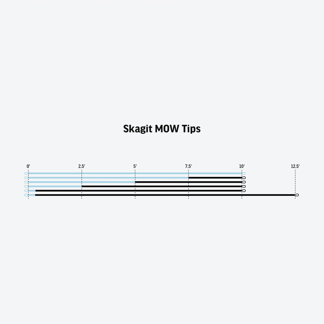 RIO Products Skagit MOW Tips
