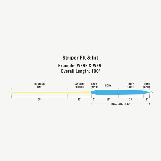RIO Products Premier Striper 30 Foot Sink Tip