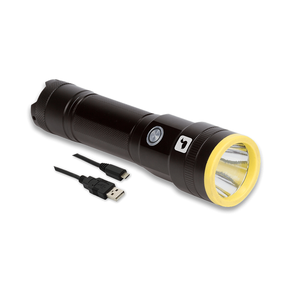 Loon UV Plasma Light