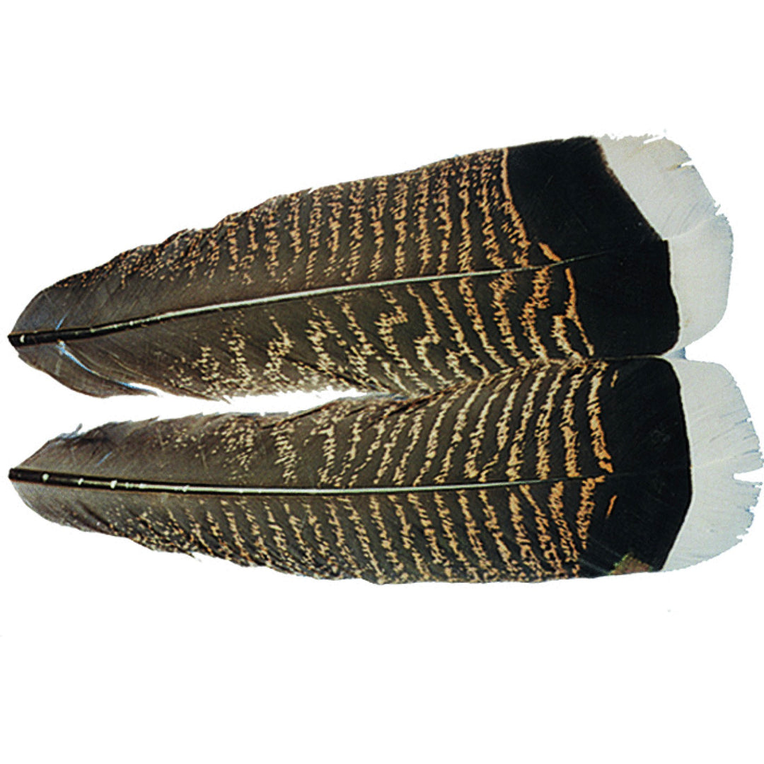 Wapsi - Mottled White Tipped Turkey Tail