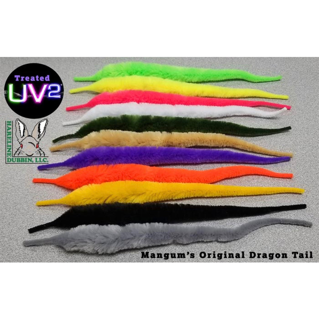 Variegated Mini Mangum Dragon Tail
