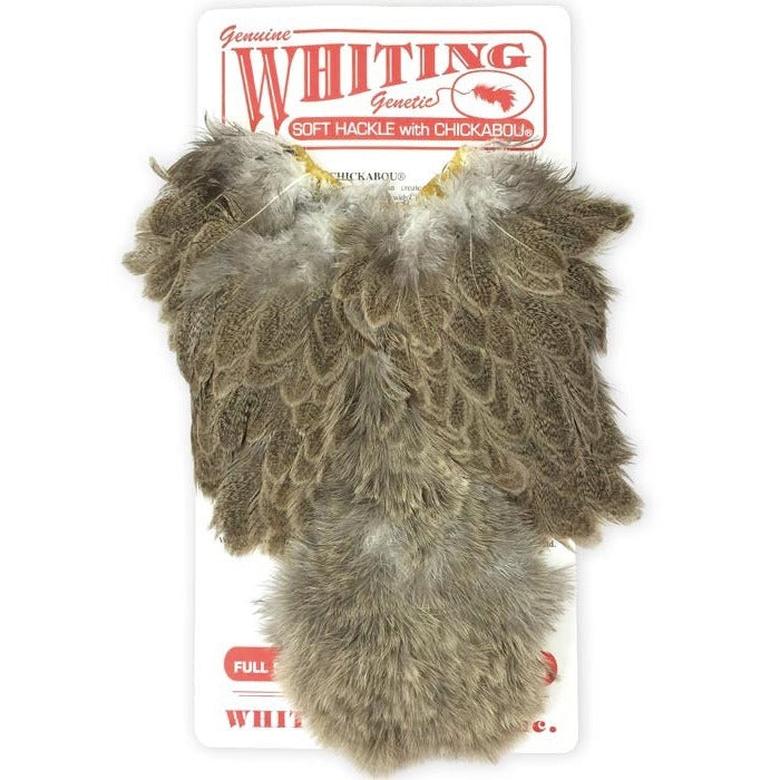 Whiting Farms Brahma Hen Soft Hackle with Chickabou