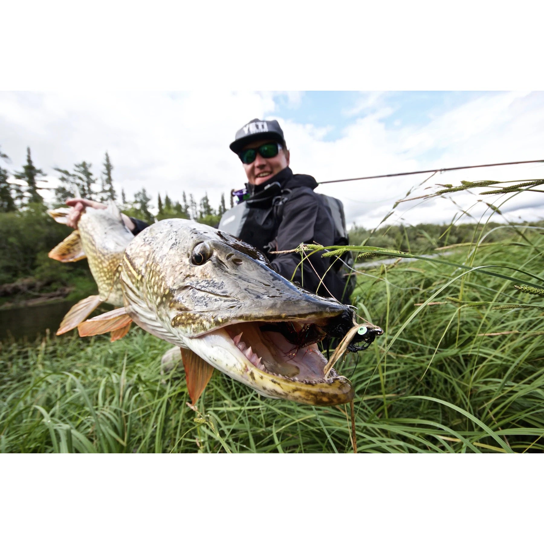 Thomas & Thomas Exocett Predator Rod – Bear's Den Fly Fishing Co.