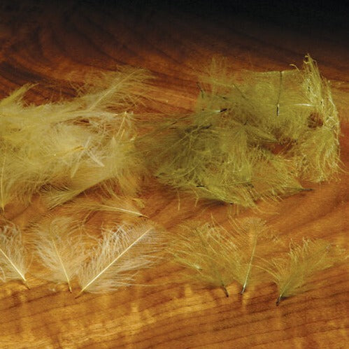C.D.C. Cul-De-Canard Feathers