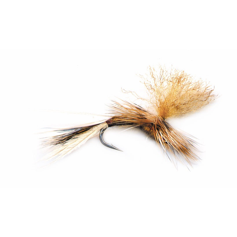 PFG Bruce's Confusion Emerger-March Brown