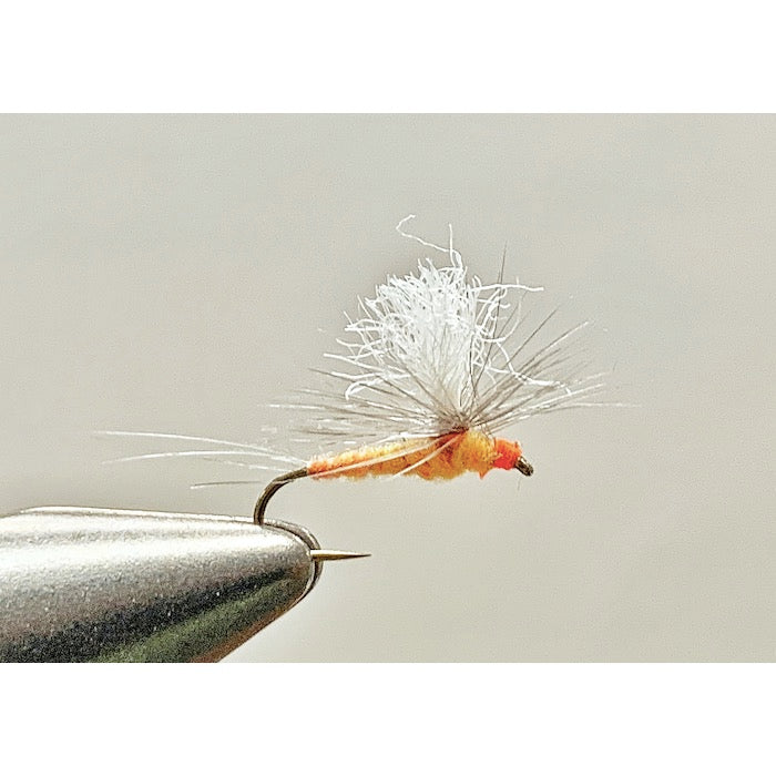 Strolis Biot Bodied Parachute