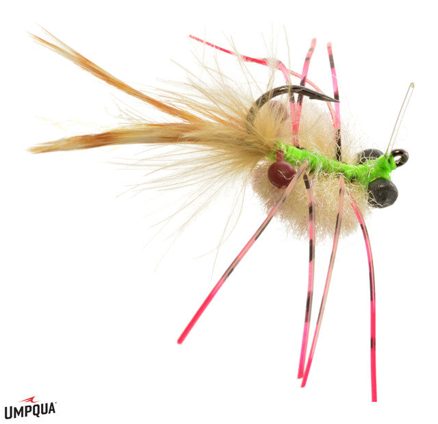 Umpqua Lexo's Pop Up Crab